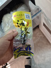 宮品品惠冷凍有機(jī)食品即食海參1斤生鮮禮品威海特產(chǎn) 10-15只中等簡(jiǎn)裝無(wú)藍(lán)盒 曬單實(shí)拍圖