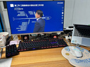 銳蟻F20數(shù)字機械小鍵盤有線20鍵筆記本電腦外接便攜式高顏值程序員憑證財務辦公混光外置數(shù)字鍵小鍵盤 經典商務黑-混光 青軸 清脆段落手感 20鍵 曬單實拍圖
