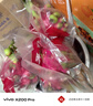 CAIFAN海南蜜寶 紅心火龍果 金都一號單果約400~500g 新鮮當季水果禮盒 曬單實(shí)拍圖
