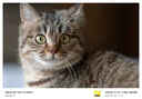 唯卓仕135mm F1.8 LAB全畫幅大光圈遠(yuǎn)攝定焦自動鏡頭適用FE/Z卡口微單相機人像掃街長焦鏡頭 AF 135mm F1.8 LAB Z（尼康口） 官方標(biāo)配+唯卓仕Pro系列UV鏡（82mm) 曬單實拍圖