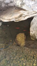 全福鯉 戶(hù)外錦鯉魚(yú)池過(guò)濾器大型水循環(huán)凈化系統304不銹鋼錦鯉池過(guò)濾設備 QL-3套餐適合0-2噸水包含水泵水管 曬單實(shí)拍圖