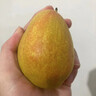 感光之水海南玉菇甜瓜  新鮮水果當季正宗冰淇淋蜜瓜小香瓜 順豐包郵白瓜 精選凈重8-8.8斤【2-5個】超值裝 曬單實拍圖