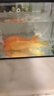 中國紅冷水淡水觀賞魚錦鯉魚活魚金魚小型好養(yǎng)紅鯉魚純種小錦鯉 16-18cm長紅金1條 曬單實(shí)拍圖