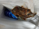 故鄉(xiāng)食召 麻辣甲魚夜宵路邊攤香辣甲魚鹵煮湖北鱉魚活魚現(xiàn)鹵香辣加熱即食 五香甲魚2只* 250g -300g 曬單實(shí)拍圖