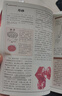 圖解本草綱目+圖解神農(nóng)本草經(jīng)（白話版 套裝共2冊） 曬單實(shí)拍圖