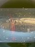 獅灣 錦鯉魚(yú)活體日本純種錦鯉魚(yú)苗昭和白寫(xiě)錦鯉魚(yú)觀(guān)賞魚(yú)紅白丹頂大正 火鯉錦鯉一條 8-10cm 曬單實(shí)拍圖