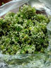 25年頭茬韭菜花新鮮蔬菜現(xiàn)摘現(xiàn)發(fā)冰鮮到家韭花新鮮韭菜花韭花花菜 3斤 曬單實(shí)拍圖