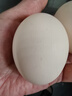 雙黃蛋生鮮雞蛋雙黃雞蛋送禮品生鮮蛋大個現(xiàn)撿現(xiàn)發(fā) 雙黃大雞蛋10枚【55-69克/枚】 曬單實拍圖