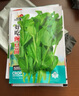 荊芥菜籽河南大葉荊芥種子菜種子蔬菜種子四季播荊菜農家田園種籽 大葉荊芥種子 2包約2000粒 曬單實(shí)拍圖