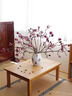 玉蘭花水培水養(yǎng)綠植花卉遇水開(kāi)花樹(shù)苗盆栽帶花苞干枝耐寒鮮切白紫 【賞到過(guò)年】鮮切紫玉蘭40-50cm4枝+送掛件+ 裸根不帶土 曬單實(shí)拍圖