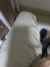 dickies 休閑褲 男士百搭修身下裝時(shí)尚休閑長褲011007 沙色 28 曬單實(shí)拍圖