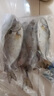 桂之海 桂（GUIZHIHAI）廣西北海泥猛魚(yú)新鮮海捕深海魚(yú)速凍檸檬魚(yú)冰鮮苦提斑魚(yú)臭肚魚(yú)順豐 泥猛魚(yú)殺好單凍 4斤（24-30條） 曬單實(shí)拍圖