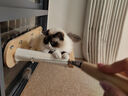 獸牌吸盤(pán)貓爬架墻壁式小戶(hù)型實(shí)木壁掛式吊床太空艙貓窩一體玻璃免打孔 云森S5 | 吊床 曬單實(shí)拍圖