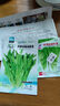 壽禾 油麥菜種子耐熱生菜農(nóng)家四季蔬菜種孑播秋冬季菜種子小青菜菜籽 四季米香油麥菜種子3g約1000粒 曬單實(shí)拍圖