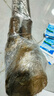 核桃樹(shù)苗幼苗嫁接薄皮香玲文玩核桃碧根果南方北方種植紙皮核桃苗 新疆紙皮核桃【四年苗 當年結果】 111cm(含)-140cm(含) 曬單實(shí)拍圖