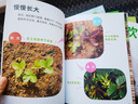 【點(diǎn)讀版】好喜歡科學(xué)·好喜歡的大自然全11冊平裝3-8歲小學(xué)生科普科學(xué)知識11個(gè)主題簡潔文字實(shí)圖拍攝沉浸體驗(yàn)奇妙的自然世界 曬單實(shí)拍圖