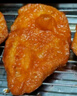食者道水煎大雞排雞胸肉 健身代餐輕食高蛋白雞扒 奧爾良黑椒雞排80g/片 嘗鮮款：（5種口味各5片）共25片 曬單實(shí)拍圖