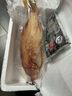 鱘食 海捕東星斑魚(yú) 鮮活冷凍石斑魚(yú)生鮮魚(yú)類(lèi)節日送禮佳品 海捕東星斑 2300-2500g/條 曬單實(shí)拍圖