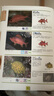 海水魚(yú)大圖鑒 1000種深海魚(yú)成長(cháng)圖鑒大全 太平洋海洋動(dòng)物4K圖鑒書(shū) 海洋世界兒童書(shū)揭秘海洋百科全書(shū)海底生物彩色圖鑒書(shū)籍 曬單實(shí)拍圖
