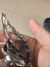 皮米適配歐米茄碟飛434鋼帶表帶實(shí)心精鋼原裝Omega蝶飛424二三代手表鏈男 434系列三代（銀光鏈） 男款 曬單實(shí)拍圖