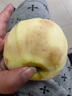 曠古農業(yè)遼寧營(yíng)口喬納金蘋(píng)果新鮮當季時(shí)令水果粉面刮泥蘋(píng)果金帥喬娜金整箱 4.5斤凈重（直徑和80-85mm)7-9枚 曬單實(shí)拍圖