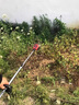 晉陽(yáng)湖割草機(jī)電動(dòng)除草機(jī)充電式大功率小型家用手持鋰電打草機(jī)草坪機(jī) 實(shí)用款鋰電割草機(jī)[兩電一充] 送合金刀片+鋸片+塑料刀頭+手套 曬單實(shí)拍圖