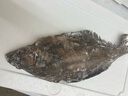 八號(hào)碼頭 格陵蘭整條鰈魚2-2.2斤/條 深海比目魚鴉片魚生鮮魚類 鰈魚（2斤/條） 曬單實(shí)拍圖