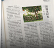 牧狼人【1-9月上下】思維與智慧雜志2025年1-12月（全年/半年訂閱/2024年/合訂本可選） 全彩版青少年勵志讀本學(xué)生課外閱讀非過(guò)刊 現貨【共18本】25年1-9月上下 曬單實(shí)拍圖
