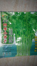 四季小香芹種子秋季盆栽香味濃郁實(shí)心芹菜籽四季可栽種蔬菜種子 精選良品芹菜種子【新種】 1包約999粒 曬單實(shí)拍圖