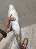 骉祥魚餌方塊餌料魚食魚料窩料翻板鉤鯰魚紅蟲餌料野釣鰱鳙爆炸鉤e 酒香味-主釣鯽\鯉\青\草\鰱鳙等 曬單實拍圖