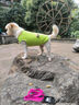 MIKI PAD狗狗衣服馬甲夏季薄款透氣可牽引寵物小型犬春秋貓衣服比熊西高地 抹茶馬卡龍背心 XXL胸圍57cm（建議15-20斤） 曬單實拍圖