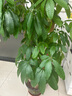 贏容  不銹鋼過濾網(wǎng)家用嬰兒輔食榨果汁破壁豆?jié){機(jī)過濾網(wǎng)篩隔渣漏網(wǎng) 1.5l接漿杯漏勺 五件套 曬單實拍圖