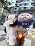 森馬羽絨服女中長款寬松拼接仿兔毛冬立領(lǐng)收腰薄外套慵懶 咖色調(diào)00355 160/84A/M 曬單實拍圖