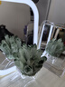 天縱晶華綠水晶簇紫水晶藍(lán)水晶原石礦物臥室辦公室裝飾擺件開業(yè)喬遷送禮 綠水晶簇(培養(yǎng)) 曬單實拍圖