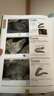 海水魚(yú)大圖鑒 1000種深海魚(yú)成長(cháng)圖鑒大全 太平洋海洋動(dòng)物4K圖鑒書(shū) 海洋世界兒童書(shū)揭秘海洋百科全書(shū)海底生物彩色圖鑒書(shū)籍 曬單實(shí)拍圖