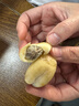 鮮級佳印尼蛇皮果【順豐冷鏈-送貨上門】進(jìn)口熱帶罕見稀有記憶果孕婦 凈重1500g 巨無霸大果-順豐冷鏈 商超5A級大果 曬單實(shí)拍圖