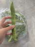 云南新鮮大扁蕓豆蕓豆角無絲豆四季豆嫩蕓豆現(xiàn)摘當(dāng)季新鮮蔬菜 山 扁豆角三斤 曬單實拍圖