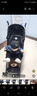 幼歌（YOUGE）【軟牛仔】嬰幼兒春季繡花牛仔外套寶寶彼得潘領(lǐng)上衣 牛仔藍(lán) 73 cm 曬單實(shí)拍圖