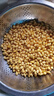 發(fā)豆芽黃豆生黃豆芽豆專(zhuān)用黃豆種子小金黃黑豆芽苗菜種籽 發(fā)芽專(zhuān)用黃豆【二斤】 曬單實(shí)拍圖