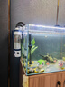 森森·珍選魚(yú)缸過(guò)濾器外置壁掛過(guò)濾桶氧氣泵水泵凈水系統(tǒng)三合一過(guò)濾循環(huán)一體 【魚(yú)便分離】6W過(guò)濾器+濾材+排水管 曬單實(shí)拍圖