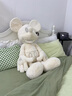 Disney同款白色黑色米奇公仔毛絨玩具抱枕玩偶布可愛(ài)娃娃女生禮物 白色米奇 含150*100cm毯子 1米 山姆同款 曬單實(shí)拍圖