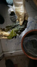 漁人百味鹽漬海帶頭5斤新鮮食材厚海帶海白菜榮成海帶片海帶絲海帶苗3/1斤 1500g 簡裝 鹽漬海帶頭 曬單實(shí)拍圖