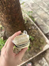 京悠雨德國防曬傘防紫外線(xiàn)女黑膠雙層小巧超輕迷你室外遮陽(yáng)晴雨兩用 梧桐米【六折扁傘UPF50+航空合金骨架】晴雨兩用 曬單實(shí)拍圖
