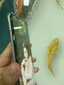 保視清【眼科認證】適用榮耀80/80Pro手機膜防藍光護眼水凝膜軟膜華為全包保護膜防窺膜防指紋非.鋼化膜 護眼水凝膜 2片裝 榮耀80 曬單實(shí)拍圖