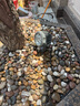祿欣 戶外防水射燈COB投光燈超亮LED景觀燈室外照樹燈綠化草坪庭院燈 七彩 30W插地式/電壓220V 曬單實拍圖