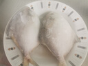 漁吻銀鯧魚(yú)新鮮冷凍大號平魚(yú)國產(chǎn)昌扁魚(yú)無(wú)冰白鯧魚(yú)海鮮水產(chǎn)鮮凍海昌魚(yú) 【3斤】3-4條/斤 曬單實(shí)拍圖