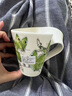 唯寶（Villeroy Boch）時尚波浪咖啡杯陶瓷杯插畫手繪動物馬克杯水杯情侶杯子禮物綠蝴蝶 曬單實拍圖