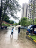 明佳匠三人大號超大傘晴雨兩用加固加厚結實(shí)抗風(fēng)傘男女手動(dòng)防曬遮陽(yáng)雨傘 梧桐米【加厚黑膠-12骨超大傘】 【終身質(zhì)保-漏雨包換-加厚黑膠】 曬單實(shí)拍圖