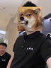 訊印衣高端polo衫定制T恤印logo公司文化衫醫藥集團工作服藥店工裝繡字 需訂做請聯(lián)系客服 XL 曬單實(shí)拍圖