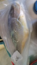北海灣 新鮮黃花魚 黃魚 活魚整條速凍 冷凍海鮮水產(chǎn)魚類非三去特大生鮮 【凈重700-800g/條】 共4條 曬單實(shí)拍圖